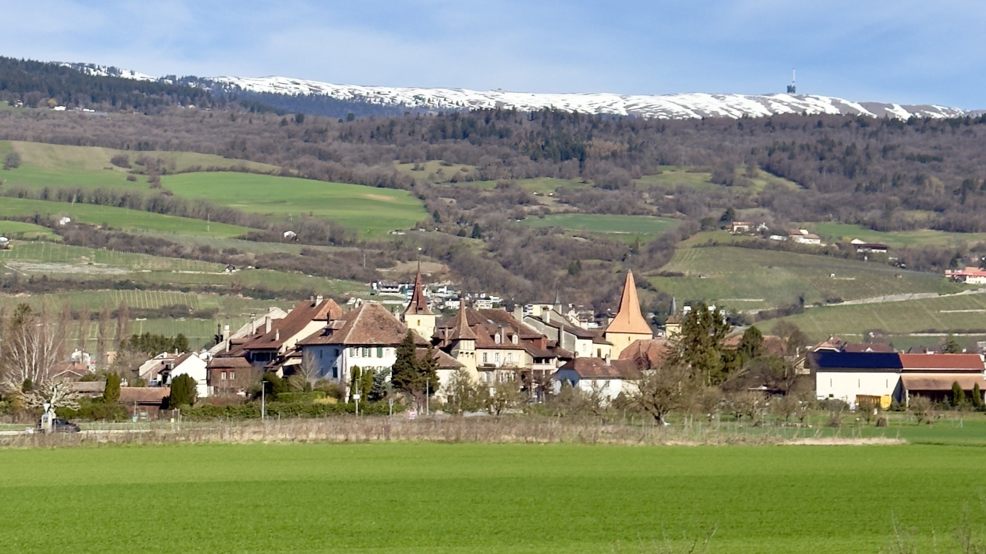 autopro vente auto le landeron - courtage, location, véhicule, occasion, auto, automobile, le landeron, suisse